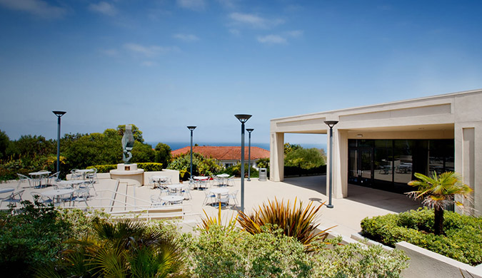 Plnu application essay picture