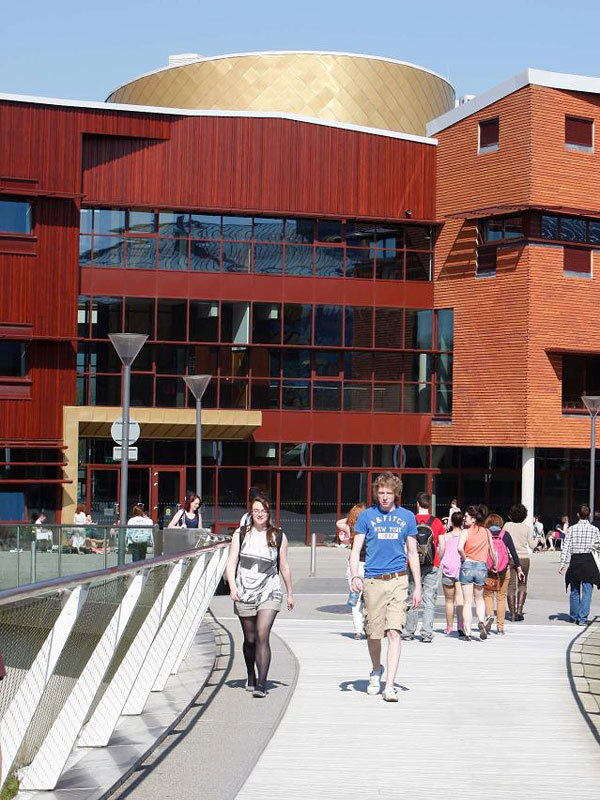 University of Limerick | Обучение в Ирландии | Глобал Диалог