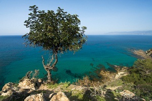 отдых на Кипре