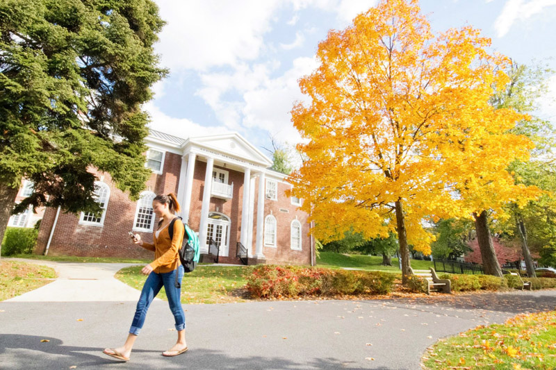 Albright College (колледж Олбрайт) Обучение в США Глобал Диалог