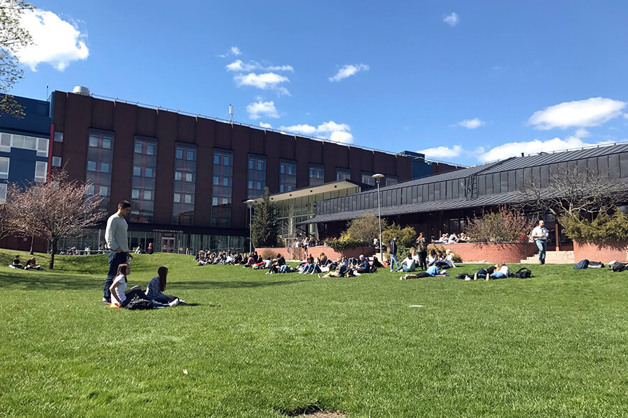 универиситеты Швеции