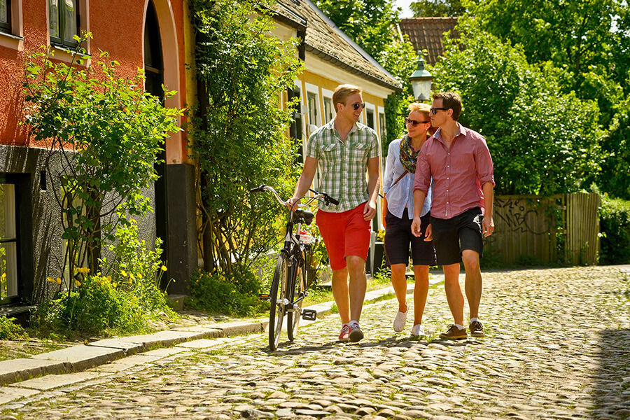 шведские студенты